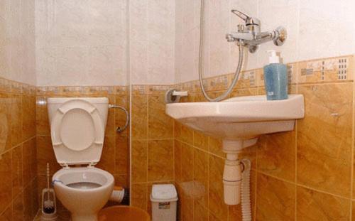 Damianka Guest House 班斯科 客房 照片